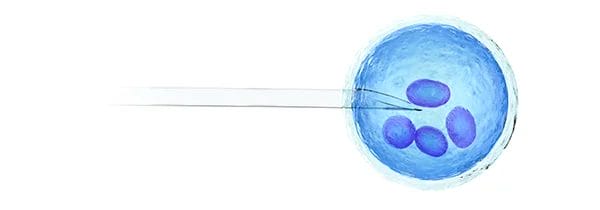 Reproductive Immunology Consultation